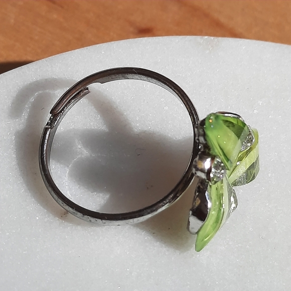 Unique, beautiful ring with adjustable band - Picture 3 of 3